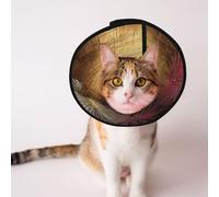 Cônes personnalisés pour animal domestique - Design unique pour chat et chien, collier pour la récupération post-chirurgie, cou réglable, villes persanes anciennes, M