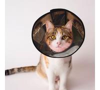 Cônes personnalisés pour animal domestique - Design unique pour chat et chien, collier pour la récupération post-opératoire, cou réglable portrait d'une chouette M