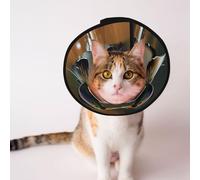 Cônes personnalisés pour animal domestique - Design unique pour chat et chien, collier pour récupération post-chirurgie, cou réglable, beau reflet, portrait de couple d'animaux - M