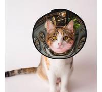 Cônes personnalisés pour animal domestique - Design unique pour chat et chien, collier pour récupération post-opératoire, cou réglable, style steampunk 3D, rendu 3D M