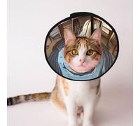Cônes personnalisés pour animal domestique - Design unique pour chat et chien, collier pour récupération post-chirurgie, cou réglable, illustration de dauphin, taille S
