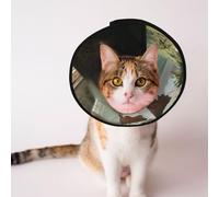 Cônes personnalisés pour animal domestique - Design unique pour chat et chien, collier pour récupération post-opératoire, cou réglable, bateau pirate sous le soleil, taille M