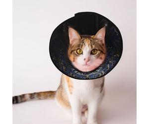 Cônes personnalisés pour animal domestique - Design unique pour chat et chien, collier pour récupération post-chirurgie, cou réglable, bijou œil mystique S