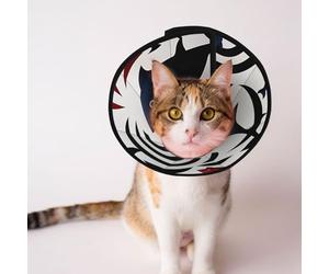 Cônes personnalisés pour animal domestique - Design unique pour chat et chien, collier pour récupération post-opératoire, cou réglable, extrêmement délicat, morue de l'Atlantique L