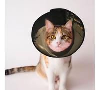 Cônes personnalisés pour animaux de compagnie - Design unique pour chat et chien, collier pour la récupération post-opératoire, cou réglable, la pyramide du monde perdu, L