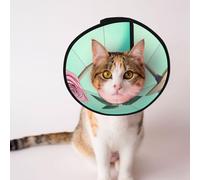 Cônes personnalisés pour animaux de compagnie - Design unique pour chat et chien, collier pour la récupération post-chirurgie, cou réglable, roses roses près du banc L