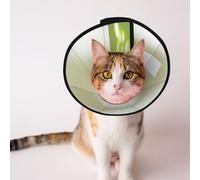 Cônes personnalisés pour animaux de compagnie - Design unique pour chat et chien, collier pour la récupération post-opératoire, cou réglable, illustration de canards L
