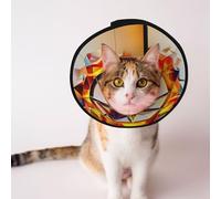 Cônes personnalisés pour animaux de compagnie - Design unique pour chat et chien, collier pour la récupération post-chirurgie, cou réglable, flamme, cheval de guerre L