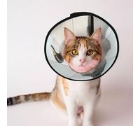 Cônes personnalisés pour animaux de compagnie - Design unique pour chat et chien, collier pour la récupération post-chirurgie, cou réglable, concept de canard fantastique, portrait M