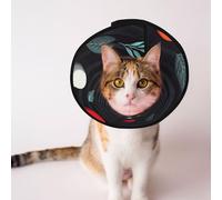 Cônes personnalisés pour animaux de compagnie - Design unique pour chat et chien, collier pour la récupération post-opératoire, cou réglable le chemin à travers la forêt dense L