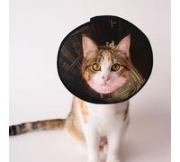 Cônes personnalisés pour animaux de compagnie - Design unique pour chat et chien, collier pour la récupération post-opératoire, cou réglable Magic Library S