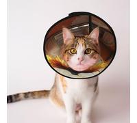 Cônes personnalisés pour animaux de compagnie - Design unique pour chat et chien, collier pour la récupération post-opératoire, cou réglable, illustration de transformation des oiseaux chauds, taille
