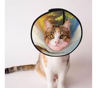 Cônes personnalisés pour animaux de compagnie - Design unique pour chat et chien, collier pour la récupération post-opératoire, cou réglable, un aigle vole M