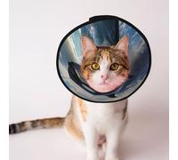 Cônes personnalisés pour animaux de compagnie - Design unique pour chat et chien, collier pour la récupération post-opératoire, cou réglable orque brèche océanique L