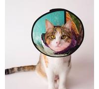 Cônes personnalisés pour animaux de compagnie - Design unique pour chat et chien, collier pour la récupération post-chirurgie, cou réglable, moitié humain, moitié angus bull S