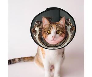 Cônes personnalisés pour animaux de compagnie - Design unique pour chat et chien, collier pour la récupération post-opératoire, cou réglable, mécanisme steampunk, M