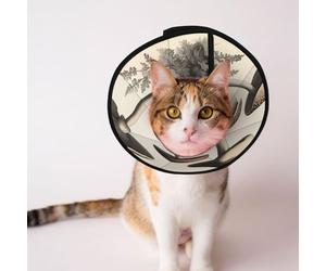 Cônes personnalisés pour animaux de compagnie - Design unique pour chat et chien, collier pour la récupération post-opératoire, illustration de champignon au cou réglable, taille M