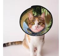 Cônes personnalisés pour animaux de compagnie - Design unique pour chat et chien, collier pour récupération post-opératoire, cou réglable The Earth in the Mysterious Church L