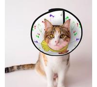 Cônes personnalisés pour animaux de compagnie - Design unique pour chat et chien, collier pour récupération post-chirurgie, cou réglable, poussin musical S