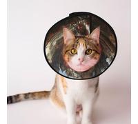 Cônes personnalisés pour animaux de compagnie - Design unique pour chat et chien, collier pour récupération post-opératoire, cou réglable au temple des fleurs S