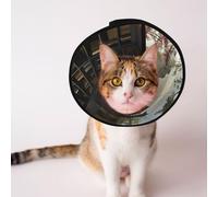 Cônes personnalisés pour animaux de compagnie - Design unique pour chat et chien, collier pour récupération post-opératoire, cou réglable, bateau pirate dans la bibliothèque S