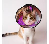 Cônes personnalisés pour animaux de compagnie - Design unique pour chat et chien, collier pour récupération post-chirurgie, cou réglable, motif lotus rose, taille M