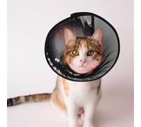 Cônes personnalisés pour animaux de compagnie - Design unique pour chat et chien, collier pour récupération post-opératoire, cou réglable, yeux dorés, art numérique L