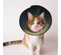 Cônes personnalisés pour animaux de compagnie - Design unique pour chat et chien, collier pour récupération post-opératoire, cou réglable cascades et brouillard dans un monde fantastique S