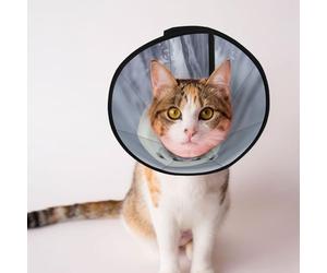 Cônes personnalisés pour animaux de compagnie - Design unique pour chat et chien, collier pour récupération post-opératoire, cou réglable, portrait d'un ours polaire, taille S