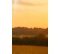 Conexión con mi Yo Superior: Cuaderno de escritura consciente para fortalecer tu intuición y conexión interior