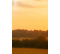 Conexión con mi Yo Superior: Cuaderno de escritura consciente para fortalecer tu intuición y conexión interior