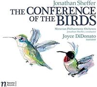 Conference Of The Birds