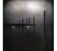 Conference of the birds