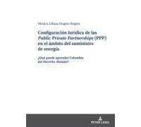 Configuración Jurídica De Las Public Private Partnerships (Ppp) En El Ámbito Del Suministro De Energía