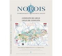 Conflits de lieux, lieux de conflits Stéphanie Dechezelles (Auteur), Maurice Olive (Auteur)