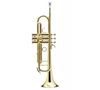 Confluence Sib Vernie - AC335BM-1-0