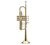 Confluence Sib Vernie - AC335CM-1-0