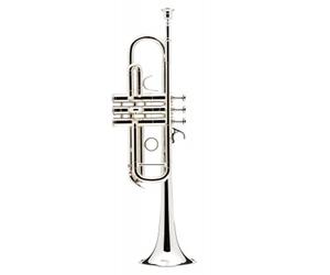 Confluence Ut Argentée - AC335CML-2-0