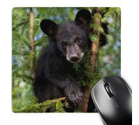 Confort Tapis De Souris De Jeu Ourson Noir dans Un Arbre, Grès du Minnesota, États-Unis 25X30Cm, Souris De Gaming Résistant À Usure Tapis De Souris Gaming pour Jeux Joueurs Professionnels