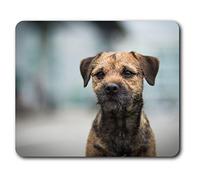 Confortable tapis de souris - Border Terrier chien Puppy 23,5 x 19,6 cm (9,3 x 7,7 pouces) pour les ordinateurs et ordinateurs portables, de bureau, cadeaux, Base antidérapante - RM15548