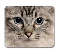 Confortable tapis de souris - Jolie Ragdoll Cat Blue Eyes 23,5 x 19,6 cm (9,3 x 7,7 pouces) pour les ordinateurs et ordinateurs portables, de bureau, cadeaux, Base antidérapante - RM3596