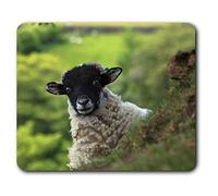 Confortable Tapis de Souris - Noir drôle Headed Sheep Farm23.5 x 19,6 cm (9,3 x 7,7 Pouces) pour Les Ordinateurs et Ordinateurs Portables, de Bureau, Cadeaux, Base antidérapante - RM16954