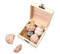 CONGARTENO 1 boîte Kit de Fouille de Minéraux pour Garçon Fille Coffret Découverte Géologie Cristaux Uniques et Échantillons Naturels Cadeau Éducatif Sûr et Ludique