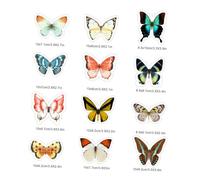 CONGARTENO Anti-collision Window Cling Statique Décoratif sans Adhésif Sticker Vitre Facile à Poser Prévention Choc Oiseaux pour Fenêtres Intérieur