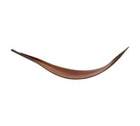 CONGARTENO Feuilles Séchées Décoratives pour Photo, Feuilles de Plantes Artisanales en Taille Moyenne, Décoration Naturelle pour Studio Photo, Bureau à Domicile et Créations Artistiques