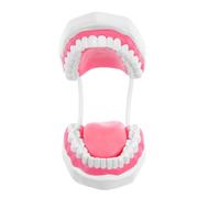 CONGARTENO Modèle Pédagogique de Dent D'enseignement Oral 6 Fois Agrandi, Plastique Rose, Accessoire D'étude, Matériel Éducatif pour Brossage et Hygiène Bucco-, Utilisation Scolaire