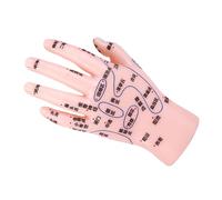 CONGARTENO Modèle Simulation Main pour Réflexologie et Acupuncture Tcm Apprentissage Facile avec Points Acupuncture Précis Écoles et de Massage