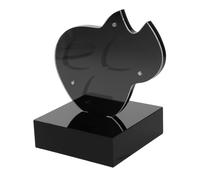 CONGARTENO Présentoir Médiators Acrylique Emplacements Boîte Rangement Guitare Compacte avec Base Stable Organisateur Pratique pour Plectres