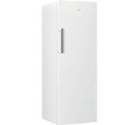 Congélateur armoire Beko RFNE290L41WN