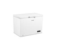 Congélateur Brandt BFK301ESW 308 L